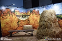 VBS_8121 - Van_Gogh_experience